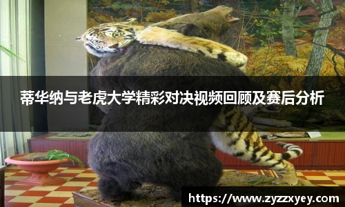 蒂华纳与老虎大学精彩对决视频回顾及赛后分析